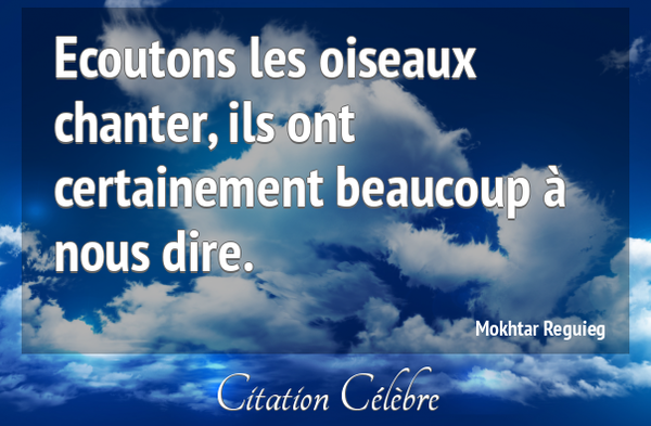 Ecoutons Les Oiseaux Chanter